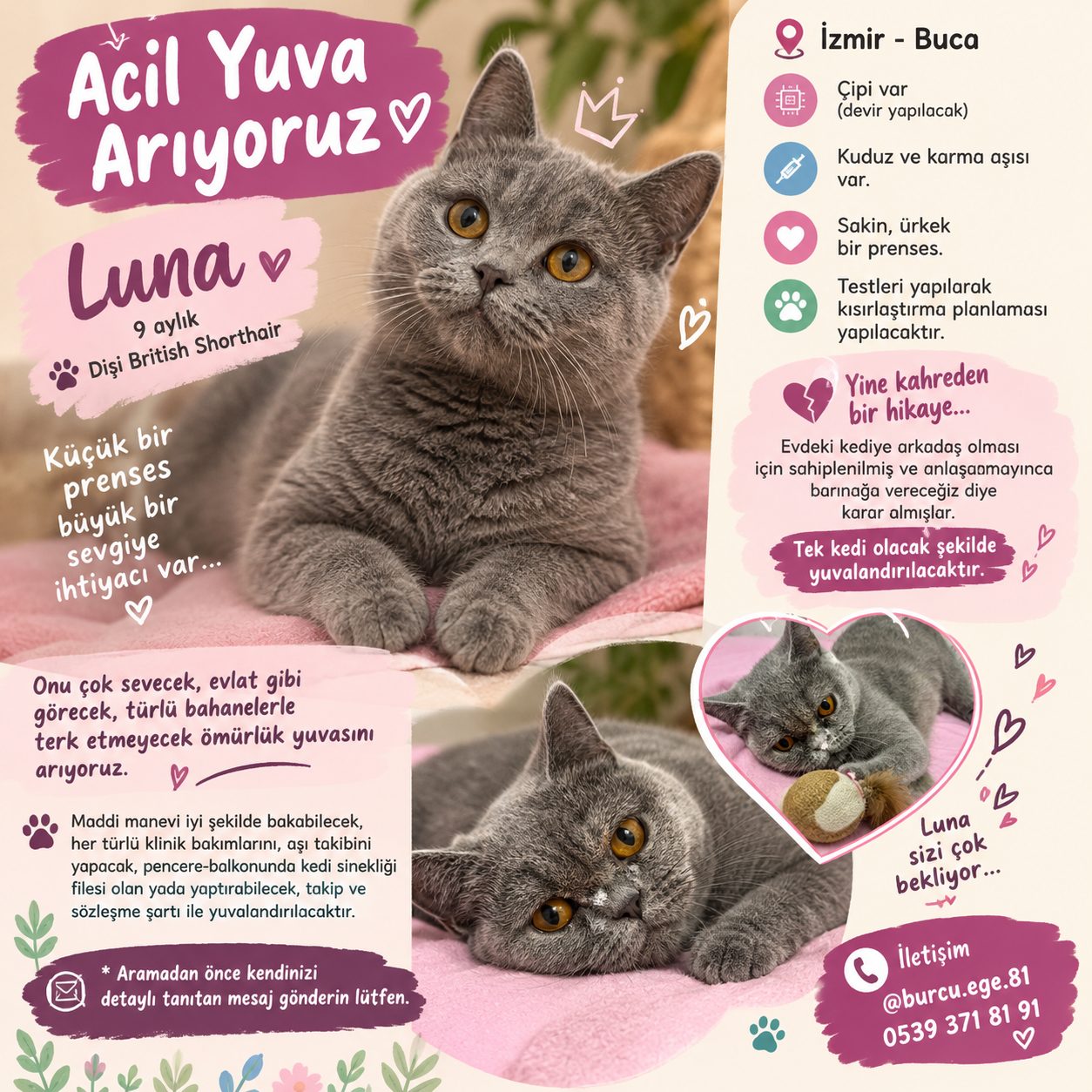 Luna